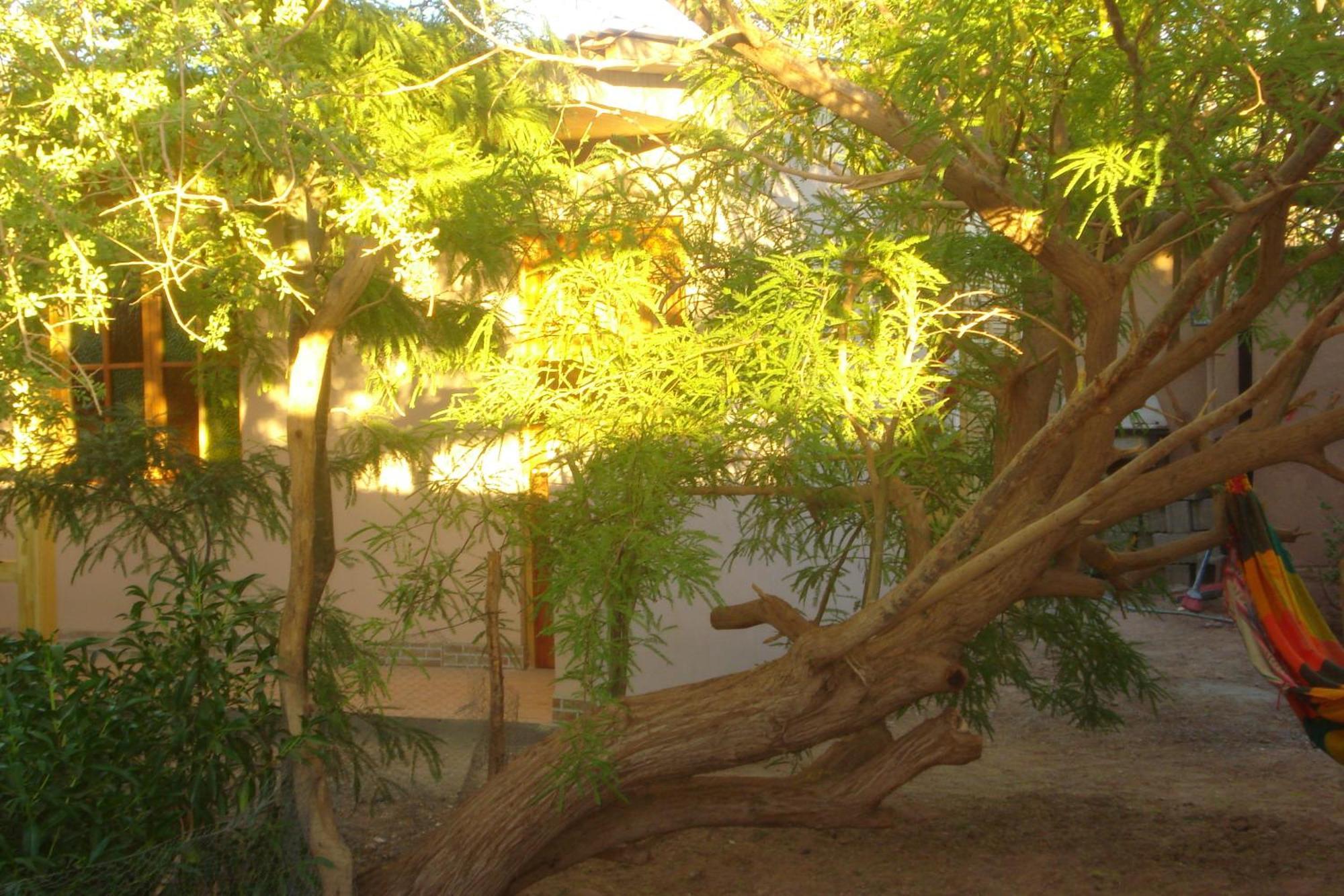 Hostal Candelaria San Pedro de Atacama Buitenkant foto